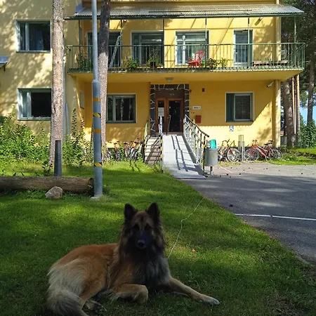 Ouluhostel Allimaria Vandrarhem Uleåborg