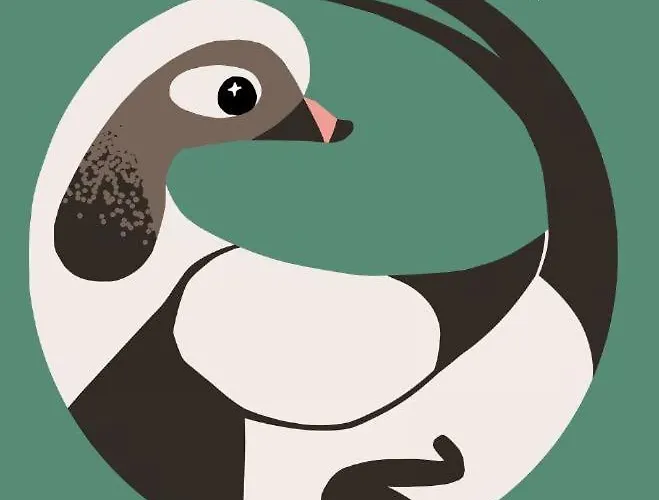 Ouluhostel Allimaria Vandrerhjem